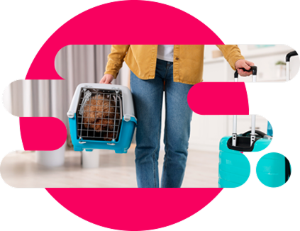 perro dentro de caja transportadora de viaje