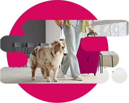 mujer viajera paseando con su perro